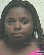 Booking photo of Whitney Yvonne Martin, Giles County, Dec 18, 2013