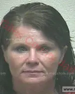 Booking photo of Michelle Lee Jones, Giles County, Jun 25, 2018