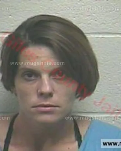 Booking photo of Heather Marie Evans, Giles County, Sep 4, 2017