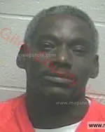 Booking photo of FREAMON HOLT Jr., Giles County, Jun 16, 2016