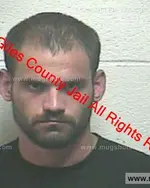 Booking photo of ROGER L HICKS, Giles County, Dec 18, 2019