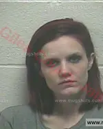 Booking photo of Aleshia Marie Young, Giles County, Dec 11, 2017