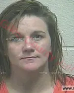 Booking photo of Brandy Michelle Stanford, Giles County, Apr 26, 2018