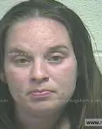 Booking photo of Lori A Clemmons, Giles County, Apr 10, 2014