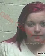 Booking photo of Terry Lynn Gray, Giles County, Apr 7, 2016