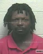 Booking photo of TRAVIS DEWAYNE HOWARD Jr., Giles County, May 15, 2014