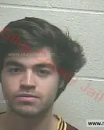 Booking photo of Andrew Richmond Sinclair, Giles County, Jun 5, 2016