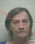 Booking photo of Connie Sue Norwood, Giles County, Feb 23, 2017