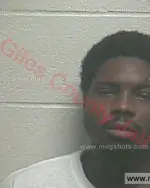 Booking photo of William Geriae Britton, Giles County, Oct 16, 2016