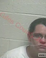 Booking photo of Ashley Nicole Turner, Giles County, Jul 23, 2016
