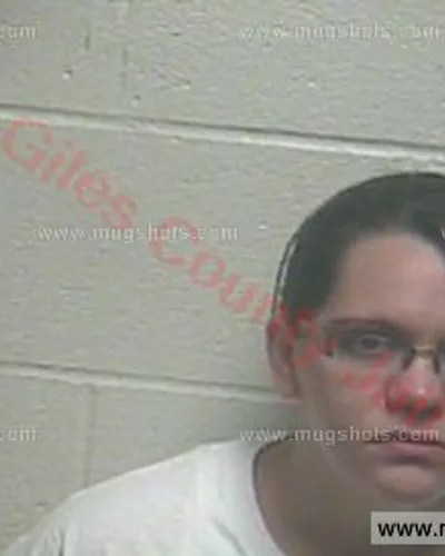 Booking photo of Ashley Nicole Turner, Giles County, Jul 23, 2016