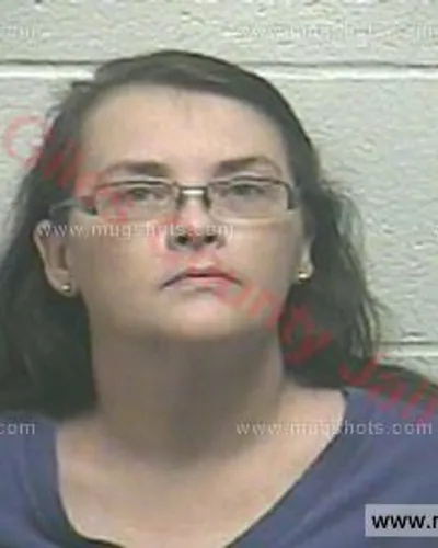 Booking photo of Belinda Mcgill, Giles County, Nov 4, 2017