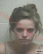 Booking photo of SHELBY N CHAPMAN, Giles County, May 10, 2016