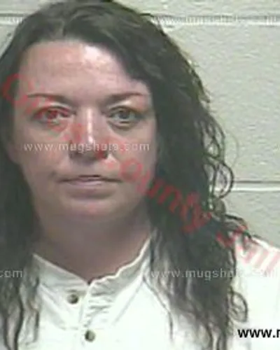 Booking photo of Bridgette Harney, Giles County, May 15, 2018