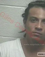 Booking photo of Clinnon W Jr. Alexander JR., Giles County, Jul 6, 2016