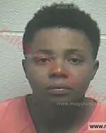 Booking photo of Samantha Glenn Houston, Giles County, Sep 26, 2015