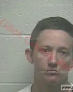 Booking photo of Layla Michelle Gowder, Giles County, Sep 4, 2017