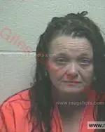 Booking photo of Barbara Ann Adams, Giles County, Apr 13, 2018