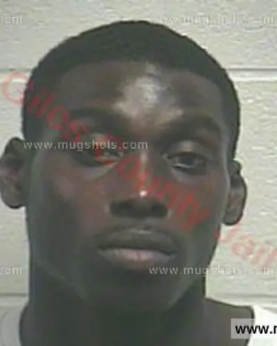 Booking photo of Timothy Dwayne Stevenson, Giles County, Dec 27, 2015