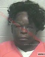 Booking photo of Deborah Ann Chalmers, Giles County, Aug 25, 2015