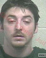 Booking photo of Bailey Ryan Hood, Giles County, Feb 23, 2016