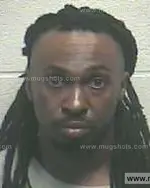 Booking photo of Alfonza Leray Ferguson, Giles County, Aug 8, 2013