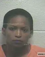 Booking photo of Tobie Nicole Howard, Giles County, Jul 26, 2013