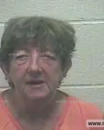 Booking photo of Belinda Gayle Collins, Giles County, Jul 5, 2015