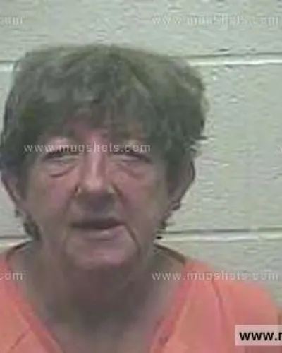 Booking photo of Belinda Gayle Collins, Giles County, Jul 5, 2015