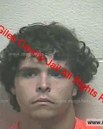 Booking photo of Christopher Aaron Trousdale, Giles County, Apr 27, 2019