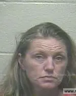 Booking photo of Heather Dawn Defoe, Giles County, Feb 8, 2015