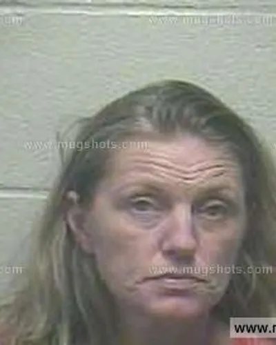 Booking photo of Heather Dawn Defoe, Giles County, Feb 8, 2015