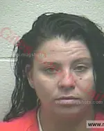 Booking photo of Amber Shelaine Blade, Giles County, Mar 28, 2017