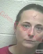 Booking photo of Ashley Brooke Cunningham Sr., Giles County, Apr 3, 2016