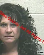 Booking photo of Dawn Michelle Garcia, Giles County, Jan 16, 2020
