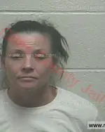 Booking photo of Shanda Lane Foster, Giles County, Apr 1, 2018