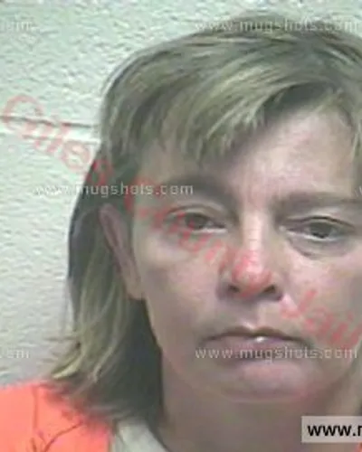 Booking photo of Heatherly Fischer, Giles County, Sep 13, 2016