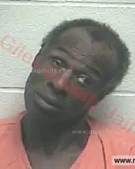 Booking photo of Thomas David Bradley, Giles County, Nov 10, 2015