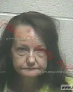 Booking photo of Sheila Ann Marler, Giles County, Aug 27, 2016