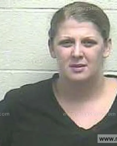 Booking photo of Sarah Ann Griffin, Giles County, Dec 20, 2014