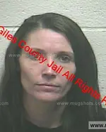 Booking photo of Ginger Michelle Johnson, Giles County, Mar 14, 2019