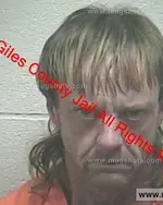 Booking photo of Tracy Lynn Mcgee, Giles County, Dec 25, 2018