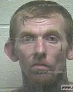 Booking photo of WILLIAM CHARLES BROWN, Giles County, May 31, 2015