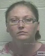 Booking photo of Shannon Nicole Johnson, Giles County, Jun 26, 2015