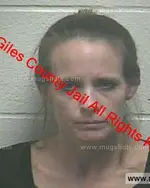 Booking photo of Amy Michelle Jones, Giles County, Feb 22, 2019
