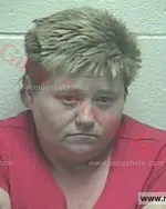 Booking photo of Tina Kay Townsend, Giles County, Feb 2, 2018