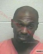 Booking photo of Alfonza Leray Ferguson, Giles County, Aug 25, 2015