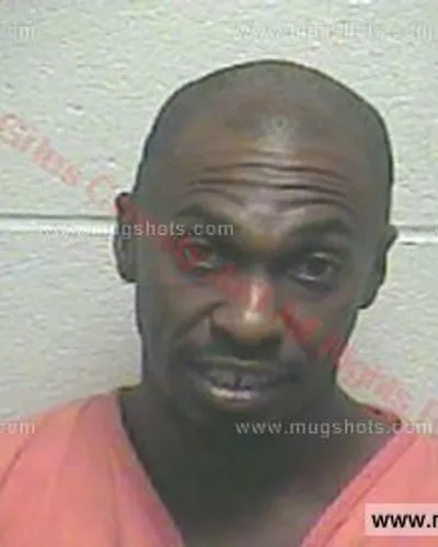 Booking photo of Alfonza Leray Ferguson, Giles County, Aug 25, 2015