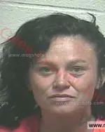 Booking photo of Rhonda Marie Mckinney, Giles County, Jul 17, 2016