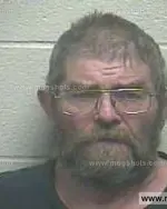 Booking photo of Alvin Lynn Hicks, Giles County, Jan 14, 2015